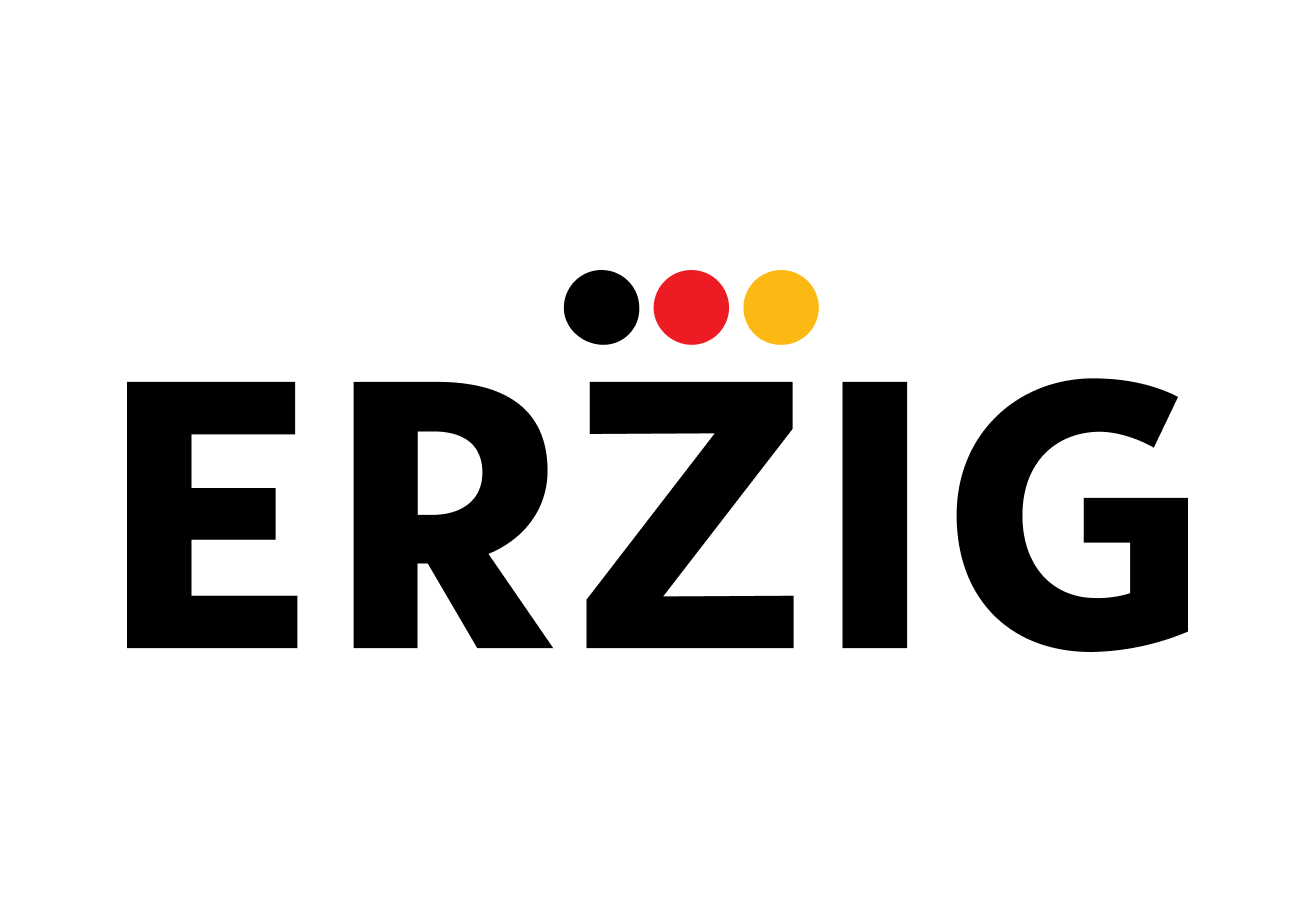 Группа компаний ERZIG